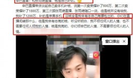 辛巴最新直播爆料,揭秘行业内幕，带你走进真实娱乐圈