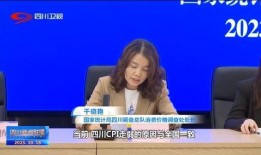 四川经济新闻爆料电话查询,揭秘川内经济动态与热点事件