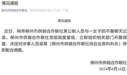 广州某公职人员爆料视频,揭露背后惊人内幕