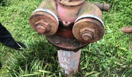 小钺的邻居爆料视频,小钺生活片段曝光，真实生活引热议