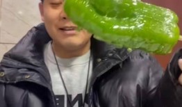 网红刘二萌吃瓜视频下载,揭秘网红幕后生活