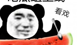 娱乐吃瓜模板介绍自己,揭秘幕后故事，带你领略明星幕后生活