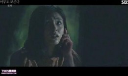 韩剧丑闻在线观看,揭开韩国娱乐圈黑暗面