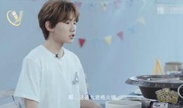 王源爆料王菲视频大全