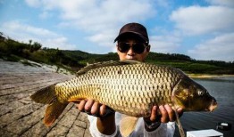 沙坑大鲤鱼爆料视频,独家爆料视频深度解析