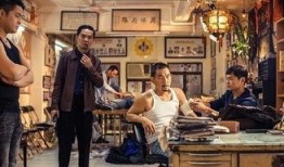 电影贼王在线观看,网络盗宝风云录