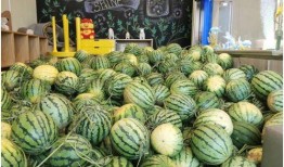 免费吃瓜 最新,揭秘网络热点的幕后故事