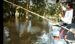 钓鱼爆料视频最新大全图片,捕捉瞬间，揭秘钓鱼高手技巧与心得