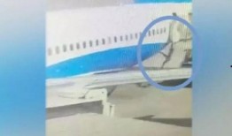 厦航空姐爆料视频播放,揭秘航空业不为人知的真相