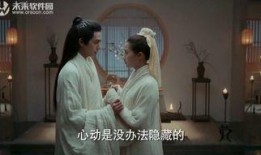 凤囚凰在线观看免费,穿越时空的华丽传奇