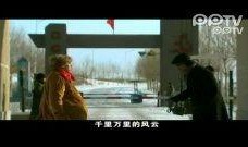 我的娜塔莎电视剧全集在线观看