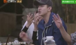 嘎子爆料贾乃亮视频大全,视频大全揭秘明星幕后故事