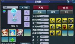 梦幻西游舅舅爆料视频,揭秘游戏内幕与神秘事件