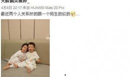 苏醒爆料吴雅婷视频,揭秘背后惊人内幕