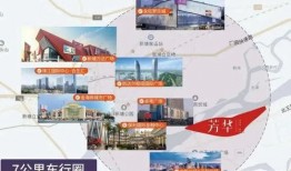爆料八都中学事件视频,真相与争议交织