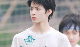 圈内人爆料刘耀文,揭秘明星背后的真实故事