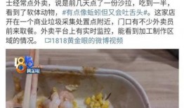 广州学校爆料视频,揭秘校园内幕