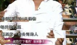 香港娱乐爆料记者有哪些,幕后推手与独家内幕大起底