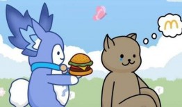 胖猫最初爆料视频,揭秘爆料视频背后的真相与内幕