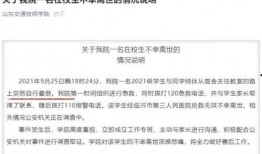 山东开发商爆料案件最新,揭秘巨额资金去向之谜