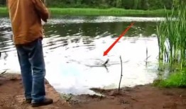 钓鱼爆料视频最新大全图片,捕捉瞬间，揭秘钓鱼高手技巧与心得