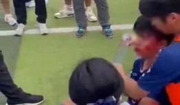 四川大学视频爆料事件,真相与争议的交织