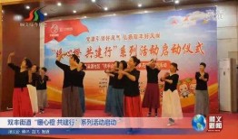 顺义电视台新闻爆料,揭秘某重大事件背后真相