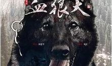 血狼犬完整版在线观看,生死较量，忠诚守护