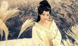 公主兴国在线观看,宫廷秘史在线观看，揭秘皇权背后的传奇人生