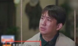 黄磊爆料自己视频大全,我的视频大全背后的故事
