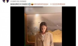 刘芸爆料视频大全集,揭秘娱乐圈幕后真相