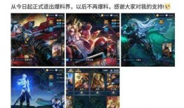阿牛王者爆料视频大全,揭秘游戏幕后精彩瞬间
