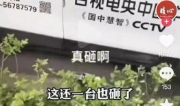 爆料唐山视频大全下载安装,揭秘热门爆料内容