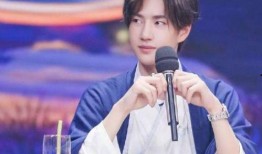 娱乐圈爆料王一博春晚,娱乐圈爆料引发热议