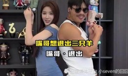 星城主播爆料事件视频播放,揭秘事件背后真相