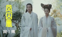 凤囚凰在线观看免费,穿越时空的华丽传奇