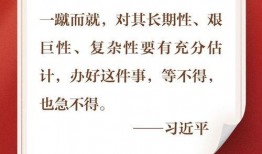 新闻 爆料热线,揭秘新闻热线背后的故事