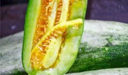 眉山网红吃瓜,揭秘网络红人的幕后故事