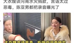 陈亚楠爆料捐款事件视频,揭秘幕后真相与公益力量