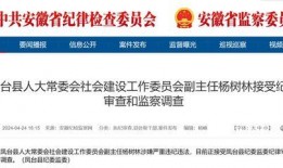 安徽每日新闻爆料网站下载,每日热点事件盘点