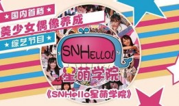 SNHELLO在线观看,在线观看的视听盛宴