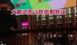 保定超市爆料视频曝光事件,事件真相与公众关注