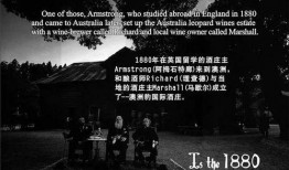 追风喝酒爆料视频,揭秘网红视频背后的故事