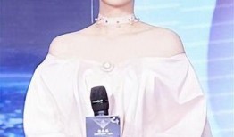 海清爆料宋佳视频大全,真相与争议全解析