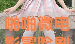 啪啪微电影在线观看,揭秘“啪啪微电影”在线观看的火热魅力