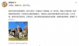 娱乐圈谁被录音爆料,揭秘明星隐私风暴