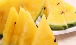 网红黑资吃瓜,揭秘网红黑资背后的吃瓜真相