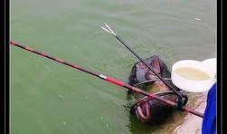 钓鱼爆料视频最新大全图片,捕捉瞬间，揭秘钓鱼高手技巧与心得