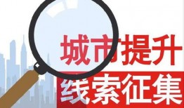新闻 爆料热线,揭秘新闻热线背后的故事