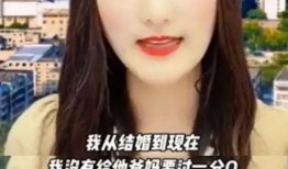 陈亚楠爆料捐款事件视频,揭秘幕后真相与公益力量